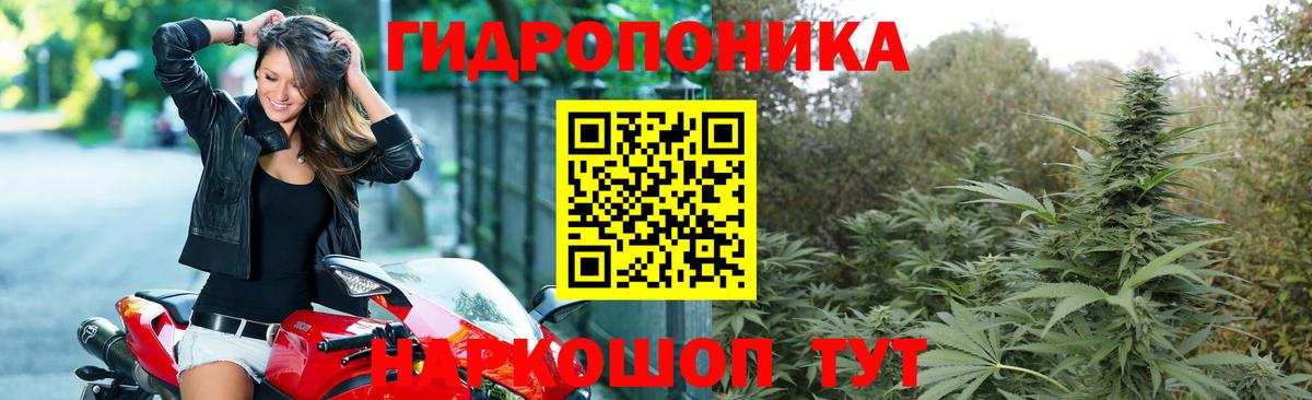Конопля ГИДРОПОН Верхняя Пышма